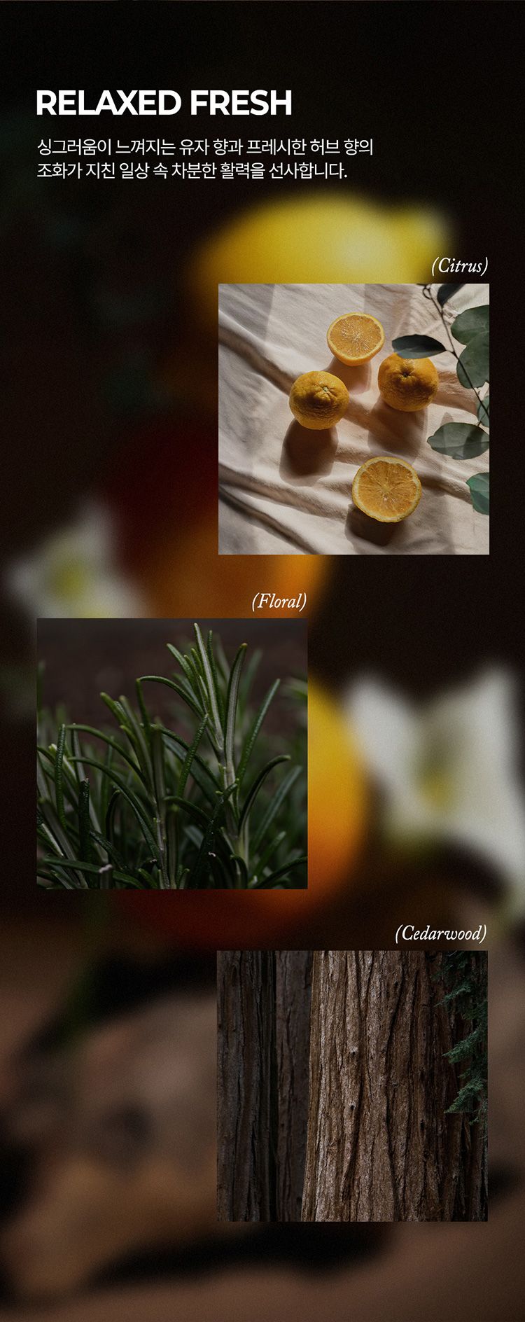 香氛 護手霜 香水 香氛