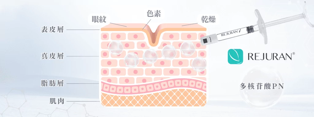 Rejuran麗珠蘭白盒