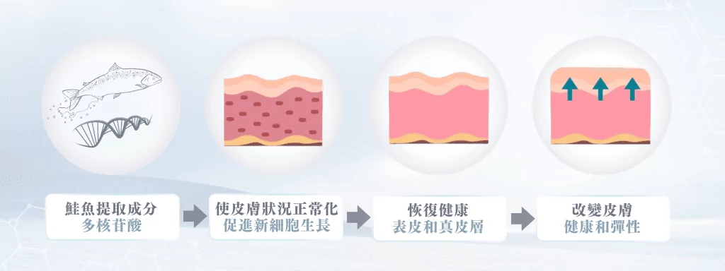 Rejuran麗珠蘭白盒