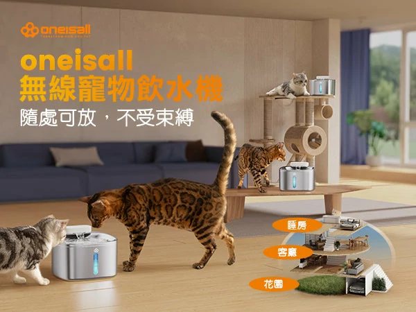 Design Chicken創意購物平台