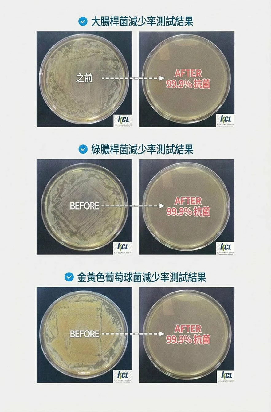 Design Chicken創意購物平台